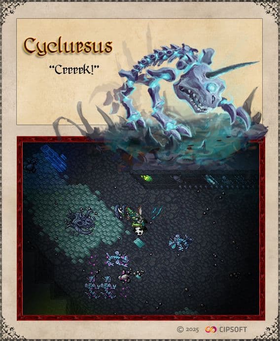 Cyclursus winter